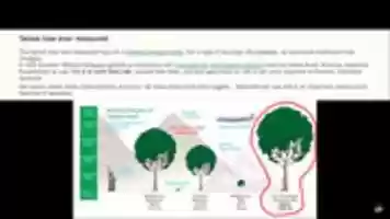 Free download Ancient Trees free photo or picture to be edited with GIMP online image editor