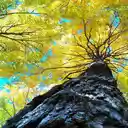 Ancient tree with yellow leaves wallpaper  screen for extension Chrome web store in OffiDocs Chromium