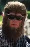 Free download Andrew Taylor wolfman free photo or picture to be edited with GIMP online image editor