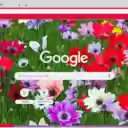 Anemone  screen for extension Chrome web store in OffiDocs Chromium