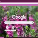 Angelonia  screen for extension Chrome web store in OffiDocs Chromium