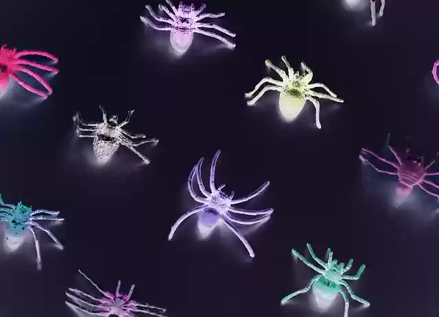 ດາວໂຫຼດຟຣີ Animal Arachnid Artificial illustration free to be edited with GIMP online image editor