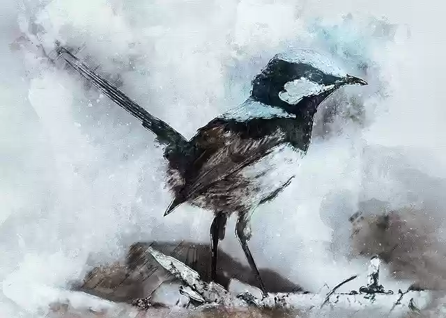 Free download Animal Bird Macro -  free illustration to be edited with GIMP free online image editor