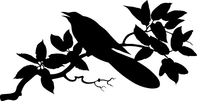 Animal Bird Nature - Free vector graphic on Pixabay GIMP online editor free Free download Animal Bird Nature - Free vector graphic on Pixabay free illustration to be edited with GIMP free online image editor