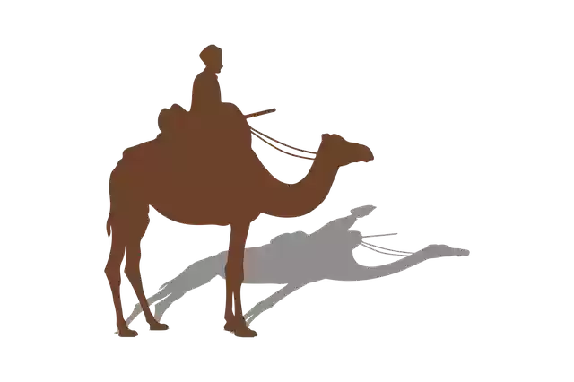 Free download Animal Camel Desert -  free free photo or picture to be edited with GIMP online image editor