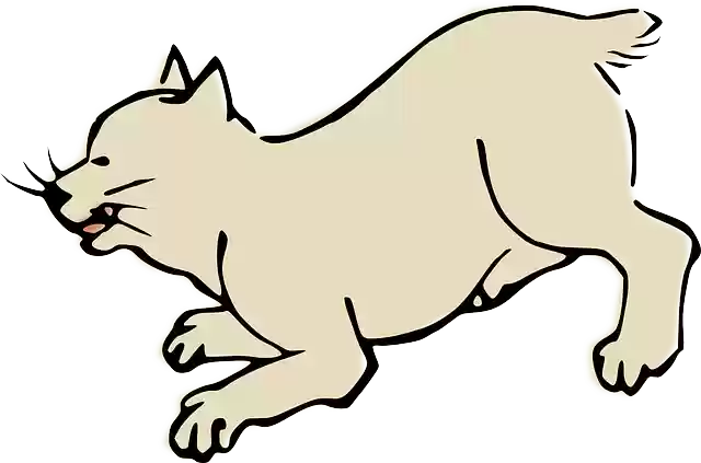 Free download Animal Cat - Free vector graphic on Pixabay free illustration to be edited with GIMP free online image editor