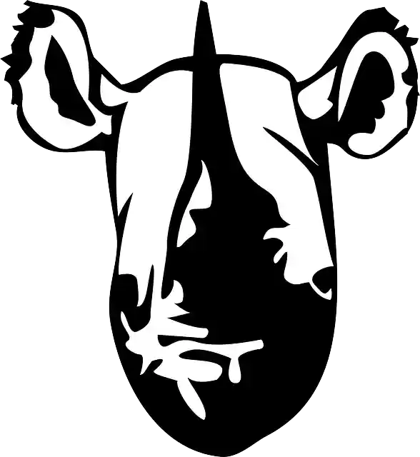 Free download Animal Hook-Lipped Mammal - Free vector graphic on Pixabay free illustration to be edited with GIMP free online image editor