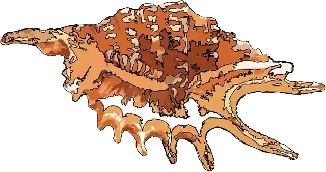 Free download Animal Sea - Free vector graphic on Pixabay free illustration to be edited with GIMP free online image editor