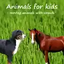 Animals for kids  screen for extension Chrome web store in OffiDocs Chromium