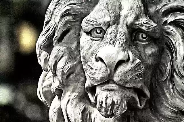 Free download Animal Tiger Safari -  free illustration to be edited with GIMP free online image editor
