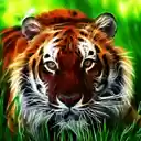 Animated Jungle Tiger Sharp eye Tiger  screen for extension Chrome web store in OffiDocs Chromium