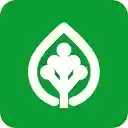 Aniseed Rewards  screen for extension Chrome web store in OffiDocs Chromium