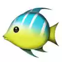 Ankimo 在 OffiDocs Chromium 中快速将日语单词添加到 Anki 屏幕以扩展 Chrome 网上商店