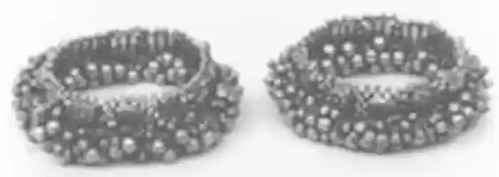 Free download Anklet, One of a Pair free photo or picture to be edited with GIMP online image editor