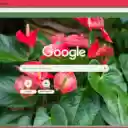 Anthurium  screen for extension Chrome web store in OffiDocs Chromium
