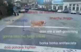 Free download antifascist dog free photo or picture to be edited with GIMP online image editor