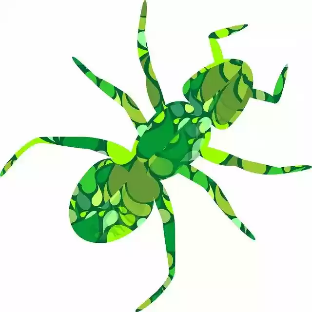Free download Ant Insect White -  free illustration to be edited with GIMP free online image editor