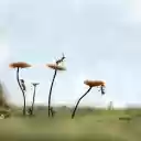 Ants have a good harvest  screen for extension Chrome web store in OffiDocs Chromium