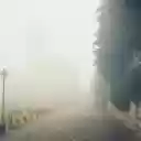 A Pathway During Foggy Weather  screen for extension Chrome web store in OffiDocs Chromium