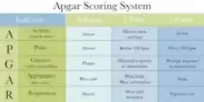 Free download Apgar Scoring System Diagnosing Birth Injuries free photo or picture to be edited with GIMP online image editor