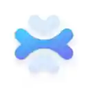 Apidog Agent  screen for extension Chrome web store in OffiDocs Chromium