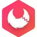 Apifox Browser Extension  screen for extension Chrome web store in OffiDocs Chromium