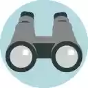 APISpy Enabler  screen for extension Chrome web store in OffiDocs Chromium