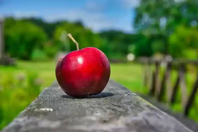 Free download apple fruit red apple fresh fruit free picture to be edited with GIMP free online image editor