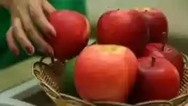 Free download Apple Hand Red -  free video to be edited with OpenShot online video editor