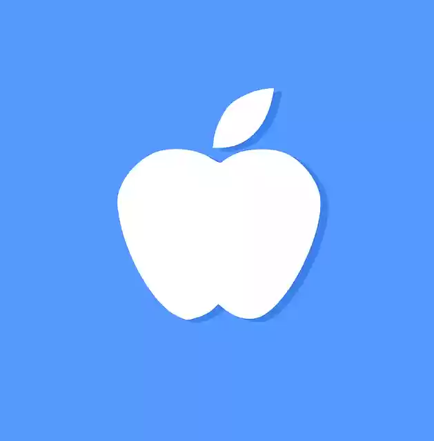 Free download Apple Icon - Free vector graphic on Pixabay free illustration to be edited with GIMP free online image editor