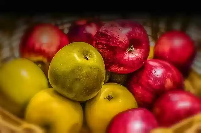 Téléchargement gratuit de Pommes Fleur Printemps - photo ou image gratuite à modifier avec l'éditeur d'images en ligne GIMP