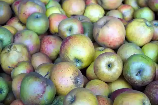 Free download apples harvest fresh healthy free picture to be edited with GIMP free online image editor