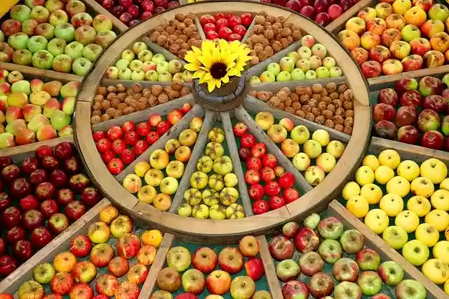 Free download Apple Wheel Thanksgiving -  free photo or picture to be edited with GIMP online image editor
