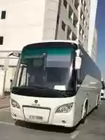 Free download Arabian Royal Com free photo or picture to be edited with GIMP online image editor