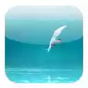 Arctic Tern Theme  screen for extension Chrome web store in OffiDocs Chromium