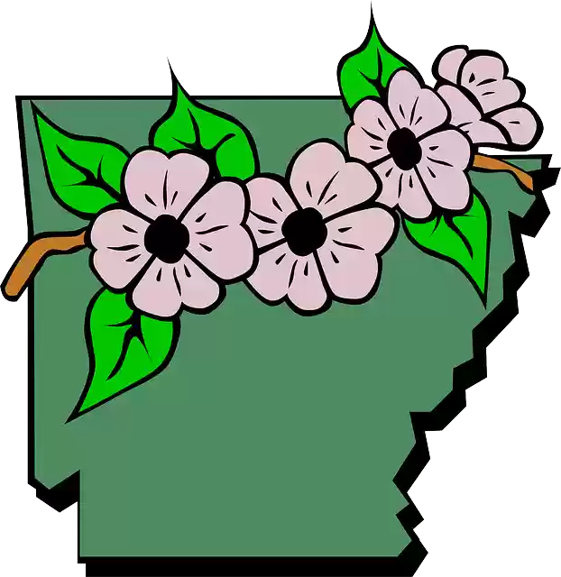 Free download Arkansas Map State - Free vector graphic on Pixabay free illustration to be edited with GIMP free online image editor