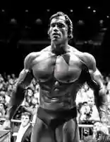 Free download Arnold Schwarzenegger free photo or picture to be edited with GIMP online image editor