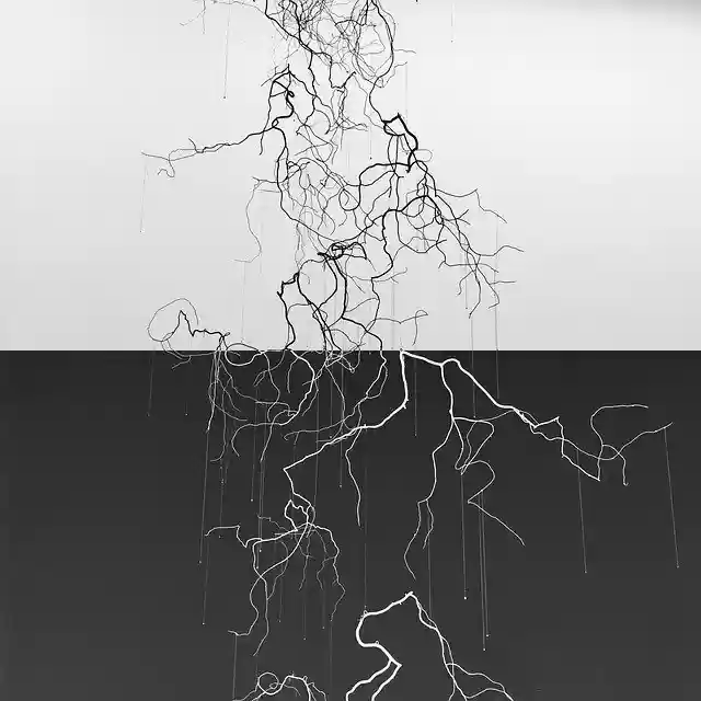 Free download Art Branch Black And White In -  free illustration to be edited with GIMP free online image editor