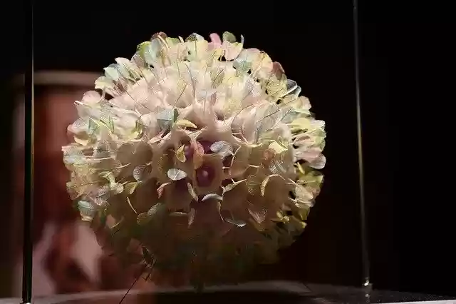 Free download Art Exhibitions -  free photo or picture to be edited with GIMP online image editor