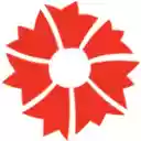 Artworks from Pera Museum  screen for extension Chrome web store in OffiDocs Chromium