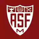 ASFM ELEM THEME  screen for extension Chrome web store in OffiDocs Chromium