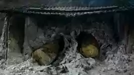 Free download Ash Fire Wood free video to be edited with OpenShot online video editor