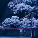 Asian Snowbridge Theme  screen for extension Chrome web store in OffiDocs Chromium