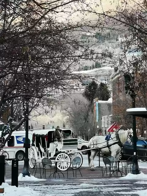 Free download Aspen Colorado Usa -  free photo or picture to be edited with GIMP online image editor