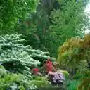 A Tapestry of Springtime Blooms  screen for extension Chrome web store in OffiDocs Chromium