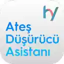 Ateş Düşürücü Asistanı  screen for extension Chrome web store in OffiDocs Chromium