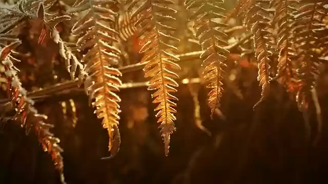 Free download atmosphere brand boating colorful free picture to be edited with GIMP free online image editor