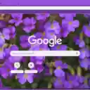 Aubrieta  screen for extension Chrome web store in OffiDocs Chromium