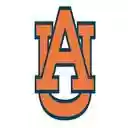 Auburn University Professor Reviews  screen for extension Chrome web store in OffiDocs Chromium