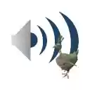 OffiDocs Chromium の拡張 Chrome Web ストアの AudioPick 画面